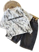 تیشرت تک بیرونی پسرانه alex