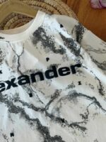 تیشرت تک بیرونی پسرانه alex - Image 4