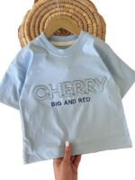 تیشرت و شلوارک کتان بیرونی پسرانه cherry - Image 5